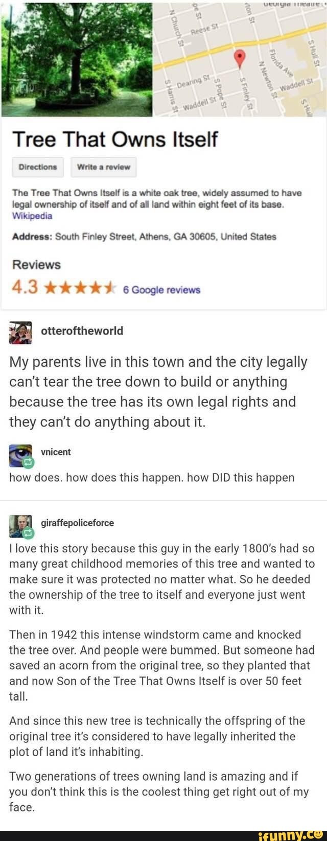 re)views as a parent on Tumblr