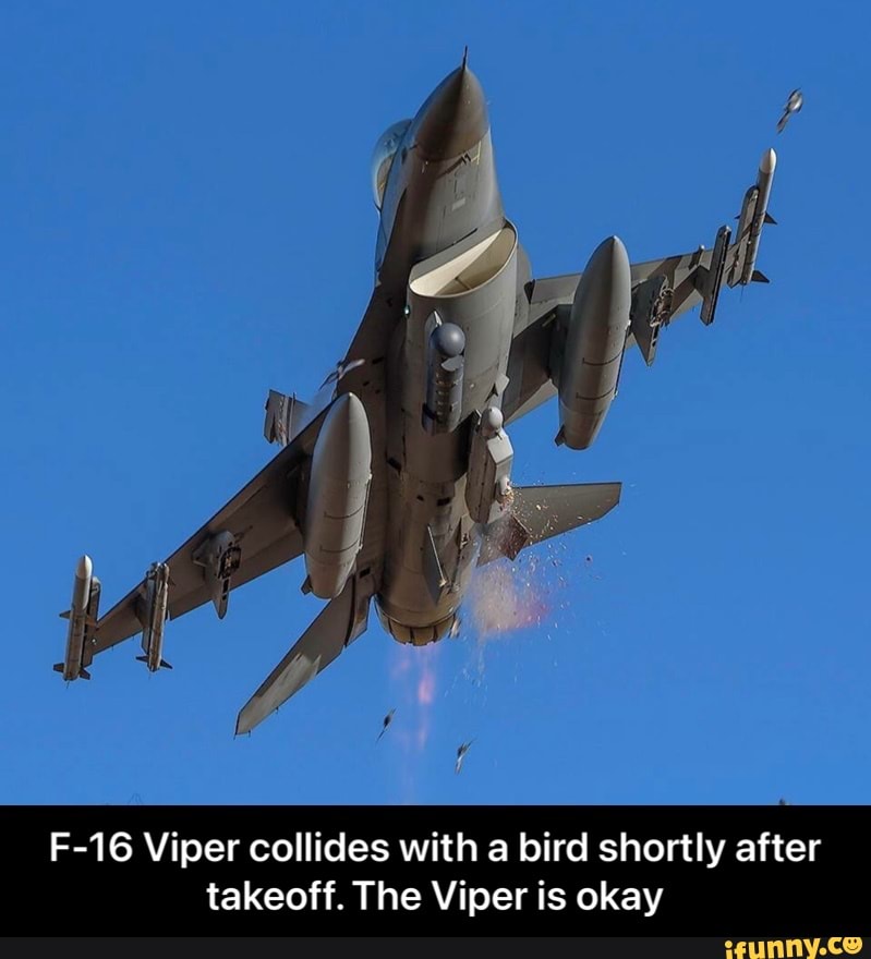 F-16 Viper collides with a bird shortly after takeoff. The Viper is okay -  F-16 Viper collides with a bird shortly after takeoff. The Viper is okay -  iFunny Brazil