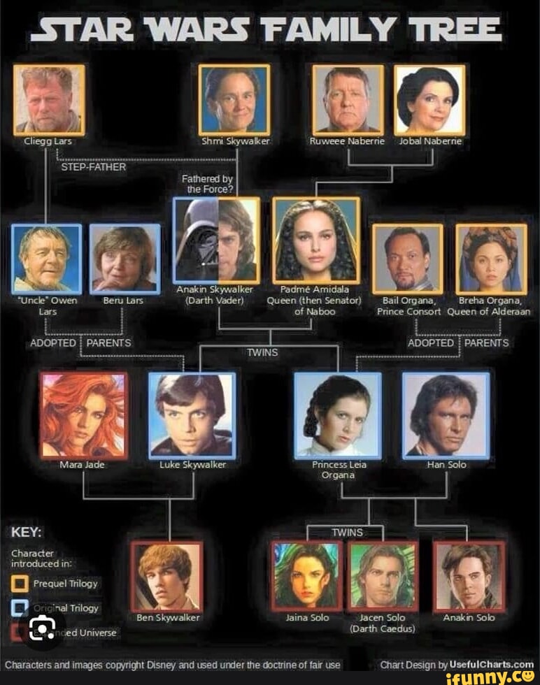 STAR WARS FAMILY TREE I 'Anakin Skywalker Padme Amidala (Darth Vader ...