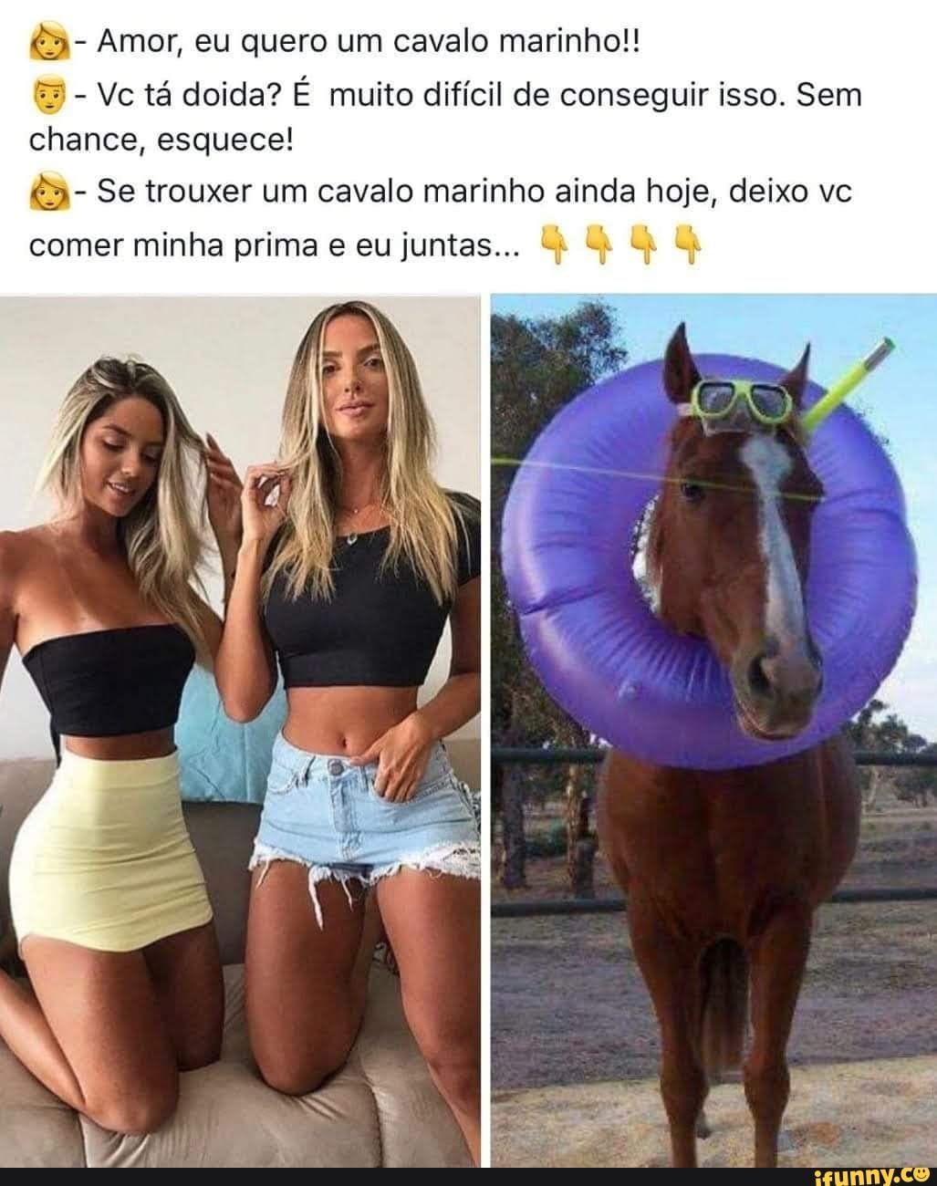 &3- Amor, eu quero um cavalo marinho!! Vc tá doida? É muito difícil de  conseguir