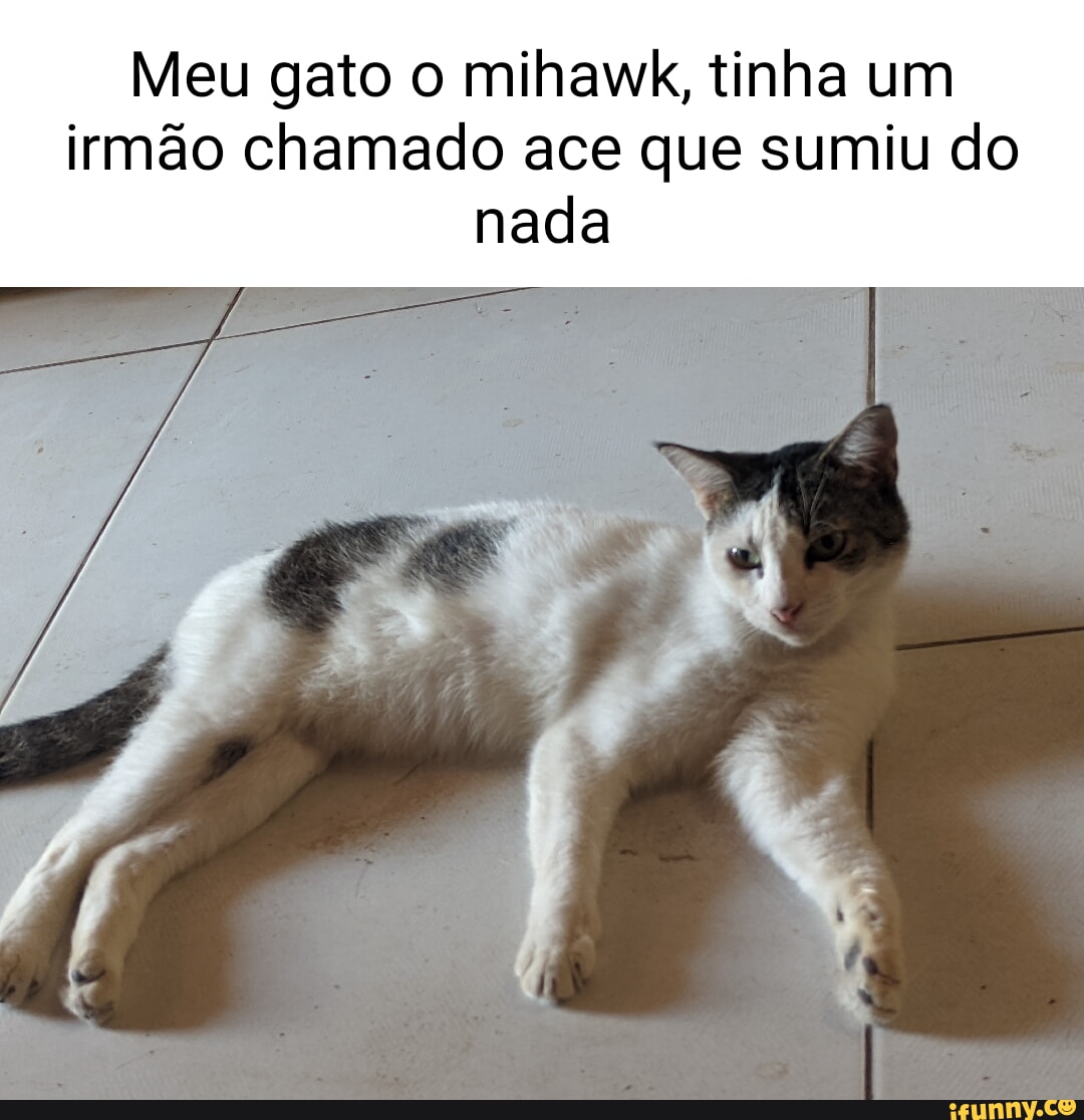 Primeira foto da espada do mihawk - iFunny Brazil