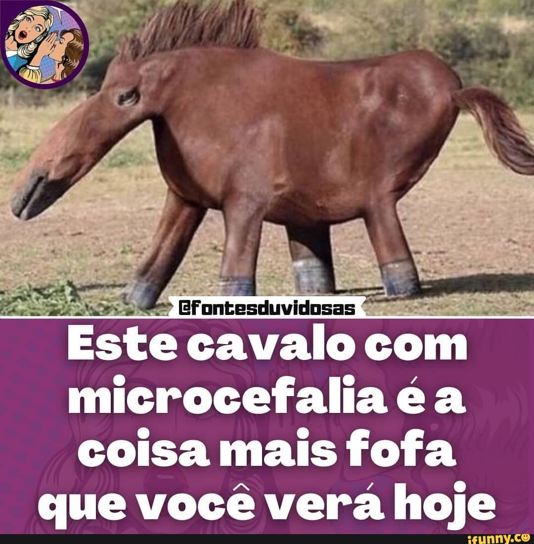 Memes da Vida (Qmemesdavidaofe Minha cabeça o dia todo: Que isso meu filho  calma Ele goooosta CAVALO (Qmemesdavida.ofe - iFunny Brazil