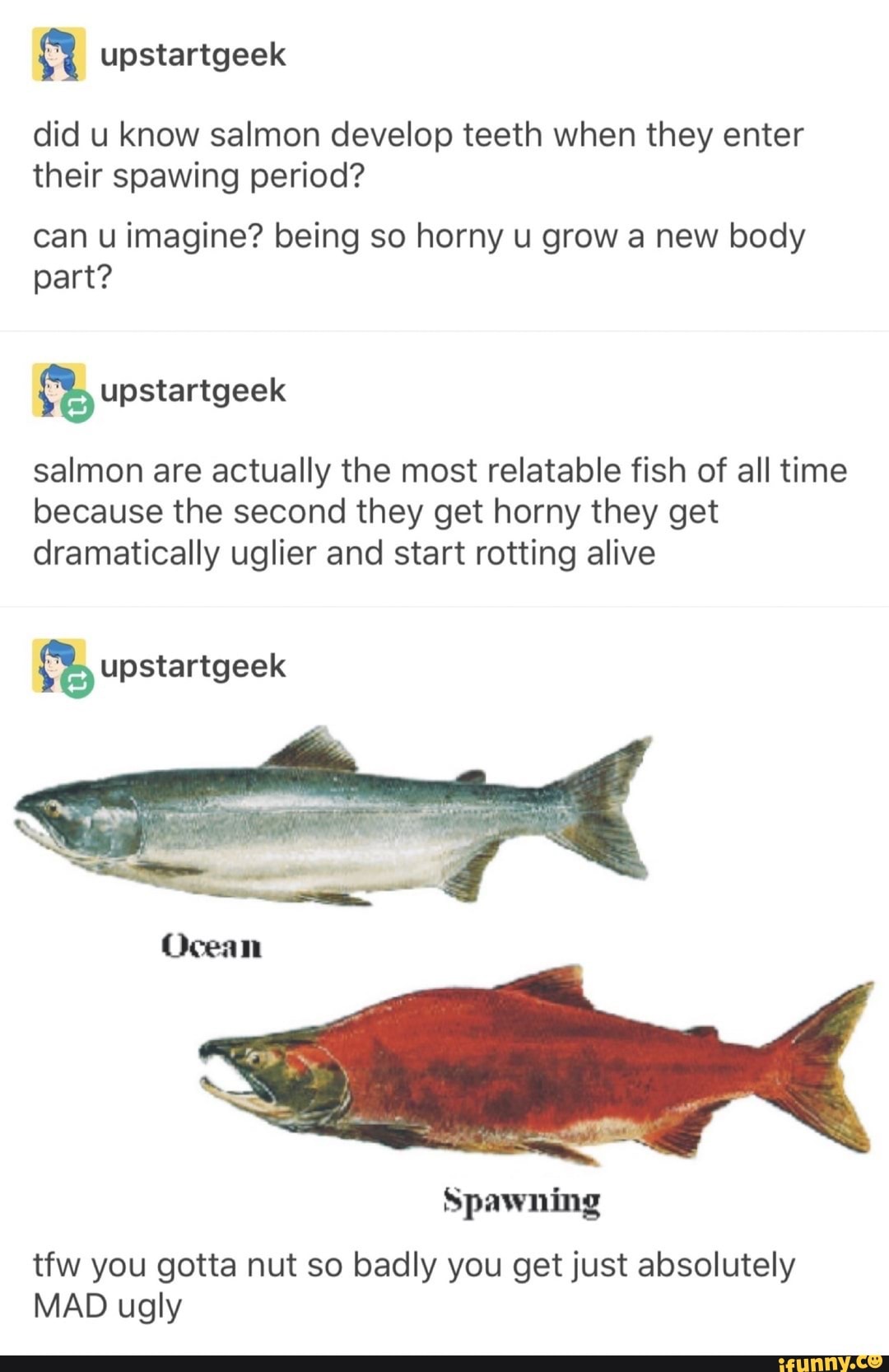 Upstartgeek did u know salmon develop teeth when they enter their