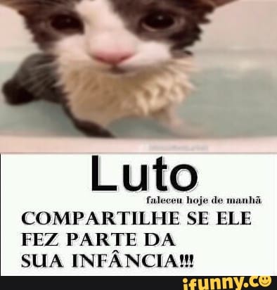 Infancua memes. Best Collection of funny Infancua pictures on iFunny Brazil