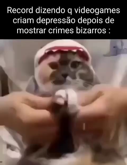 Bizonhas memes. Best Collection of funny Bizonhas pictures on iFunny Brazil