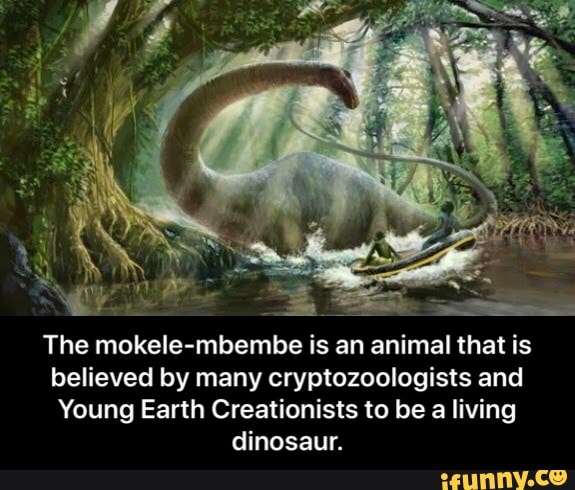 GEES A The mokele-mbembe is an animal that is believed by many  cryptozoologists and Young