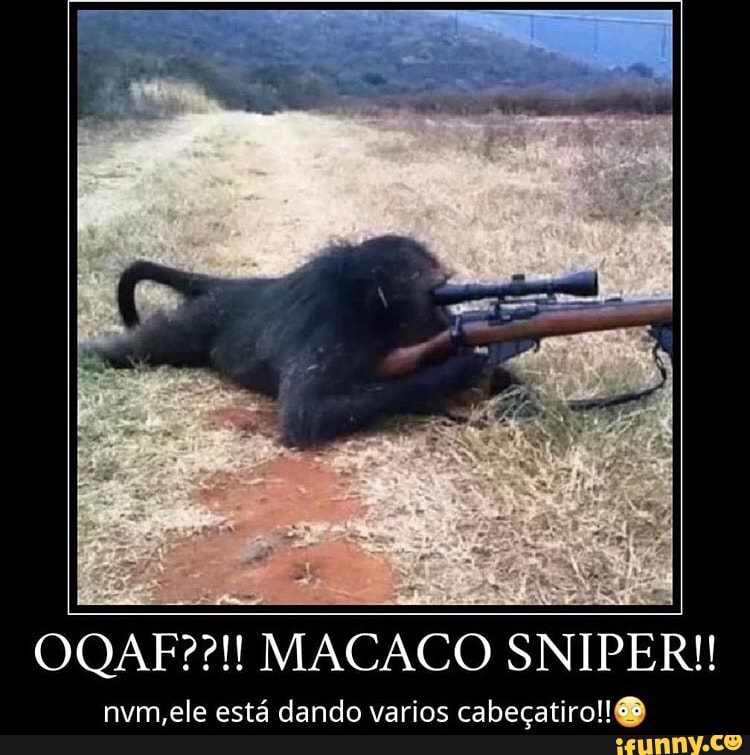 Parado aí, Macaco Louco! Bh, nãoyEstou sêndo oplimírio - iFunny Brazil