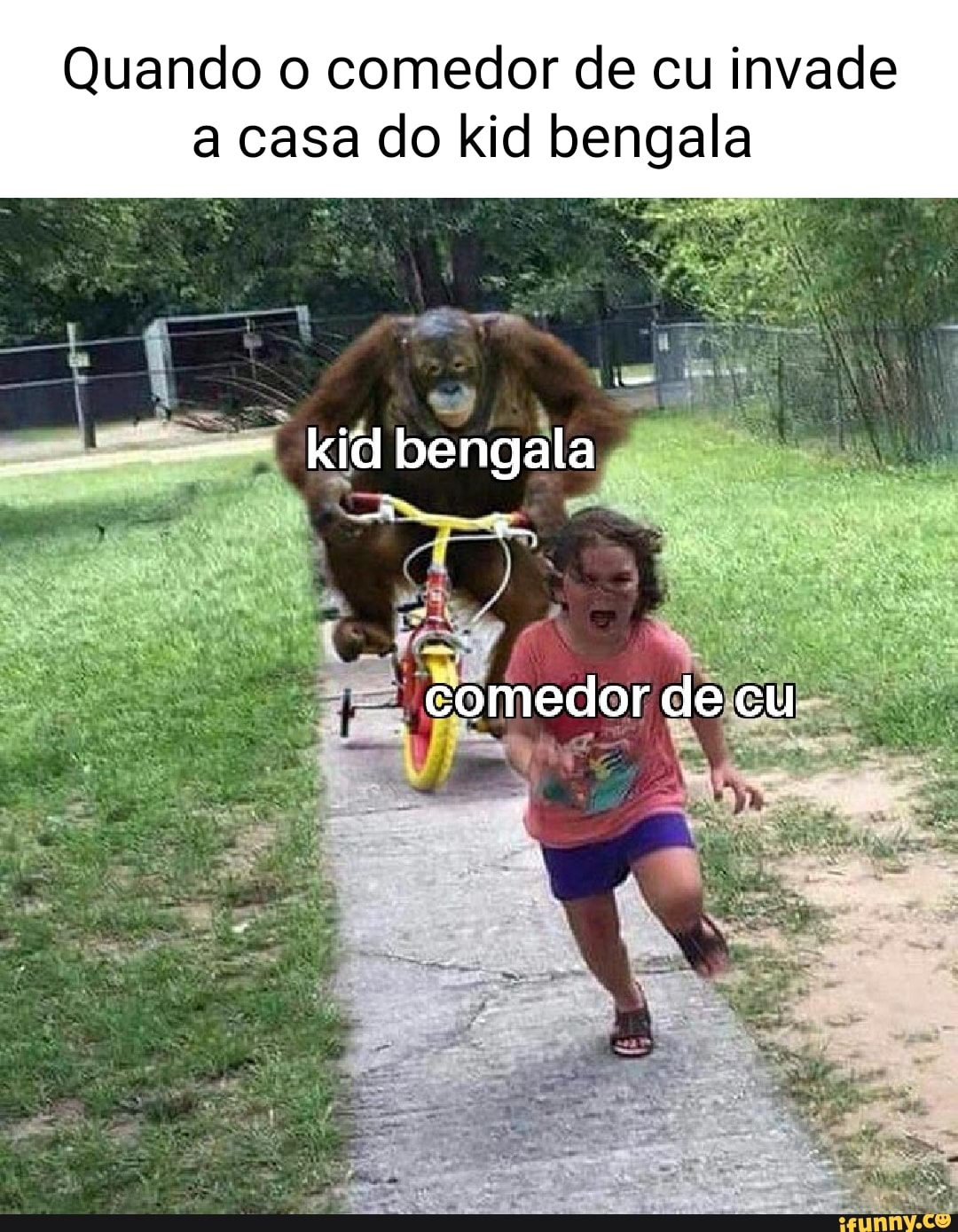 Quando o comedor de cu invade a casa do kid bengala bengala comedor de cu -  iFunny Brazil