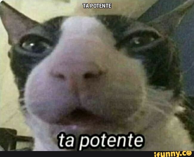 DOC ta potente - iFunny Brazil