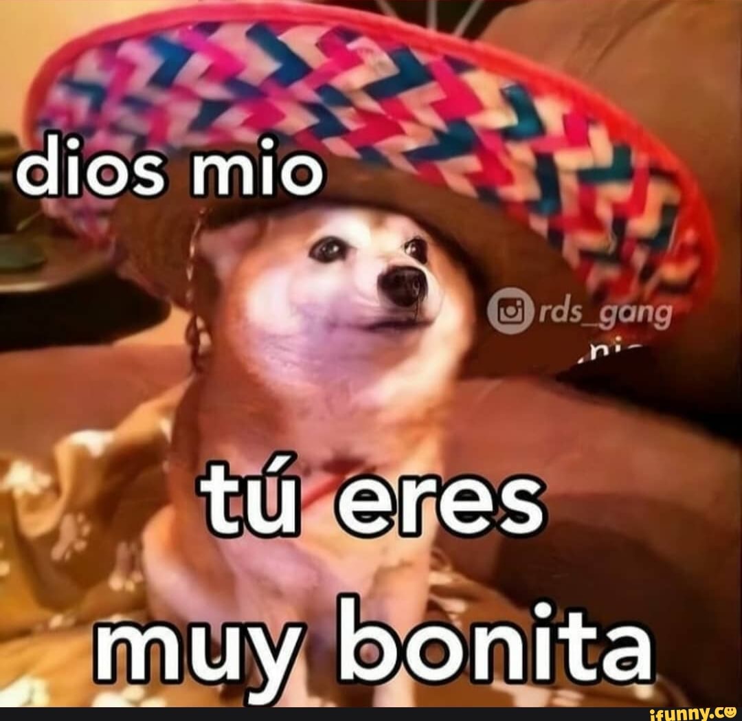 eres bonita meme