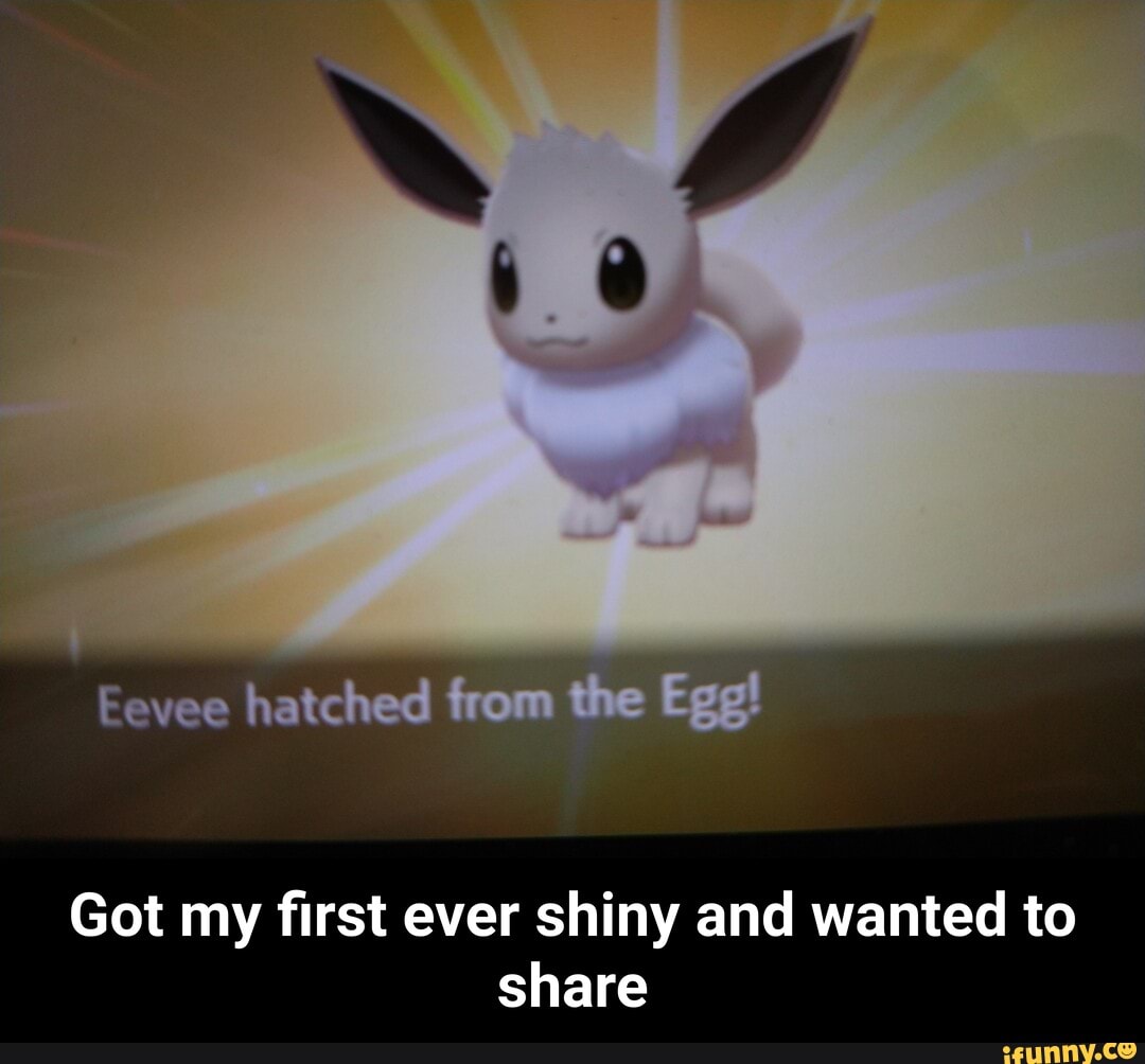 first ever shiny