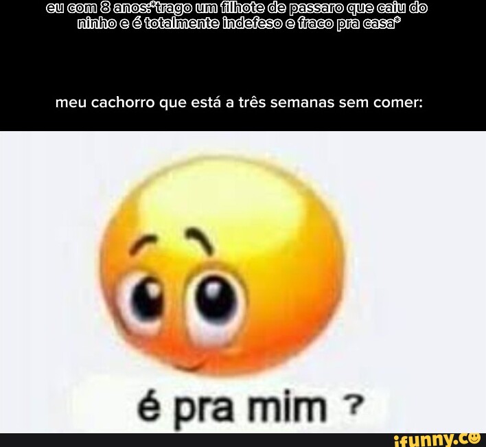 Indefesos memes. Best Collection of funny Indefesos pictures on iFunny  Brazil