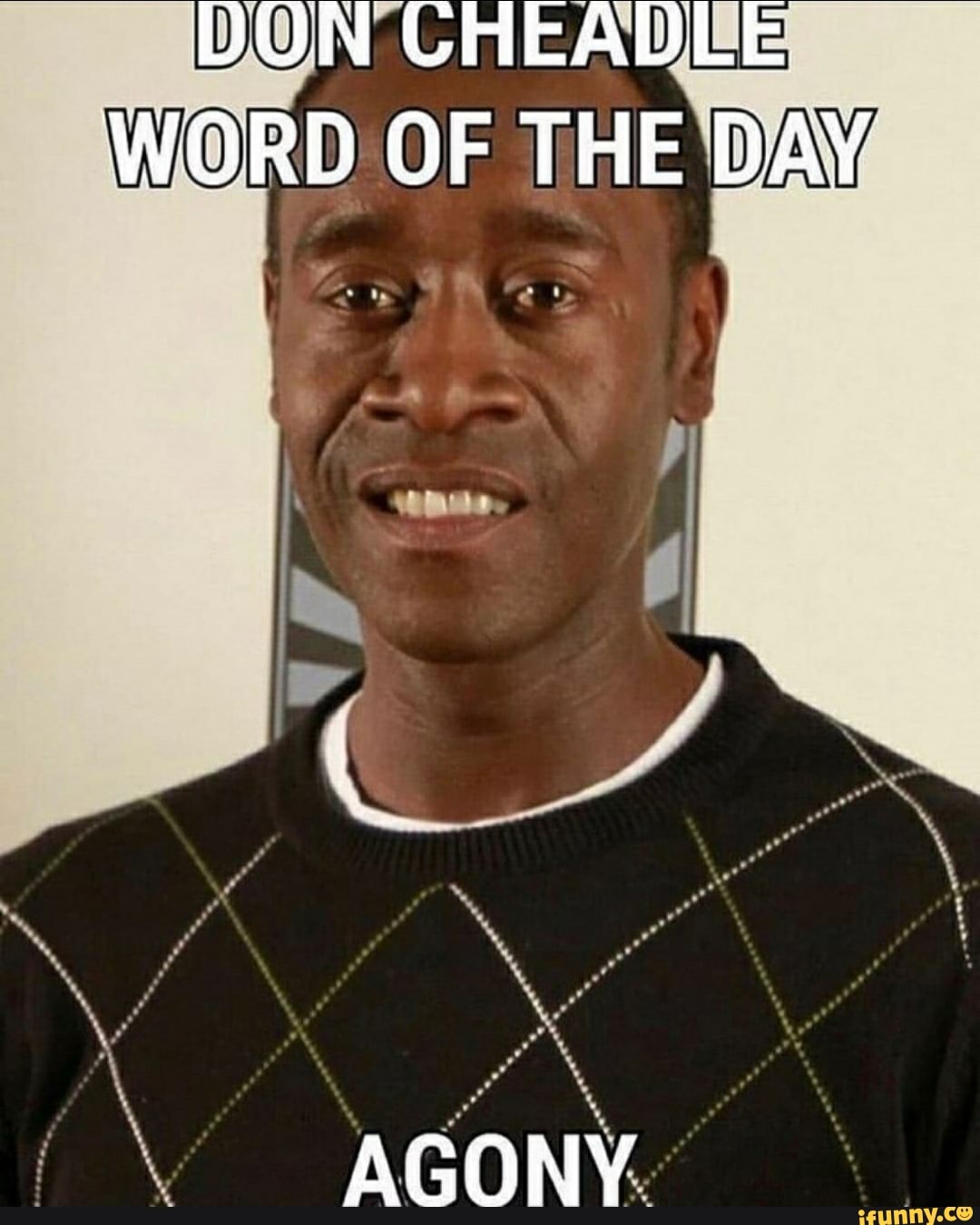 Don cheadle word of the day agony