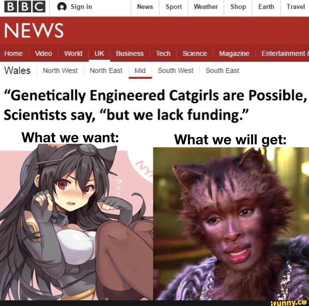 Regarding Genetically-Engineered Catgirls: : r/Animemes