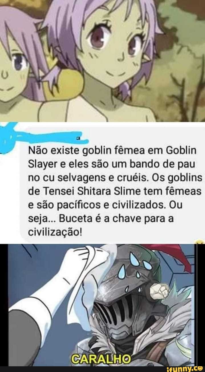 POR QUE VOCÊ COMEÇOU A ASSISTIR GOBLIN SLAYER? Goblin Slayer Brasil -  iFunny Brazil