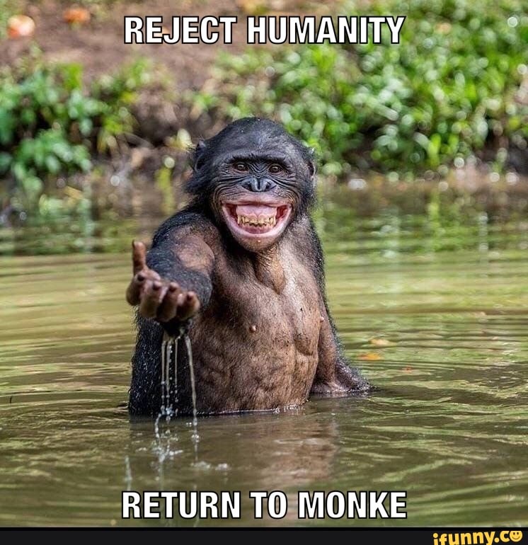 Return to Monke
