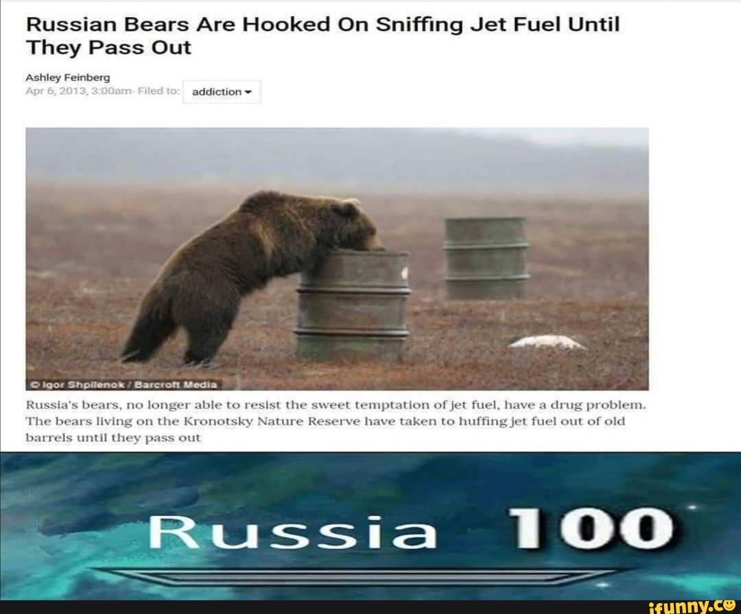 Russian Bears Are Hooked On Sniffing Jet Fuel Until They Pass Out