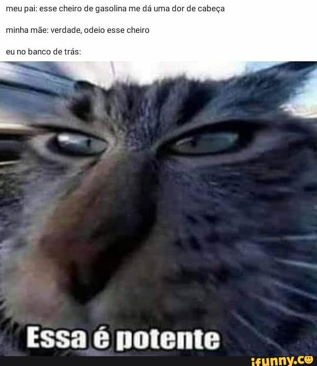 Eu fazendo esse meme não sei nada de damia no comentário vindo ma porque  botei dama e não xadrez - iFunny Brazil