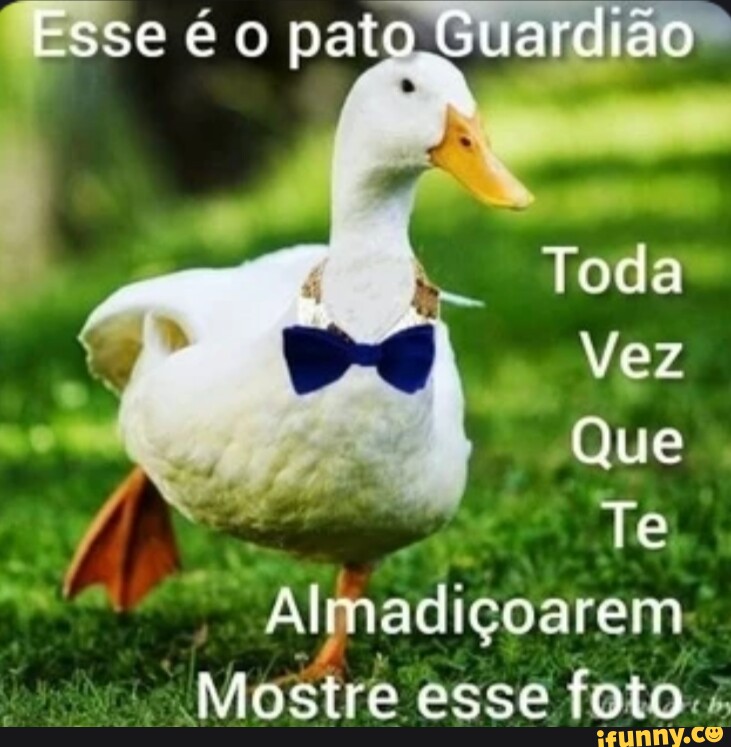 Papo_ereto memes. Best Collection of funny Papo_ereto pictures on iFunny  Brazil