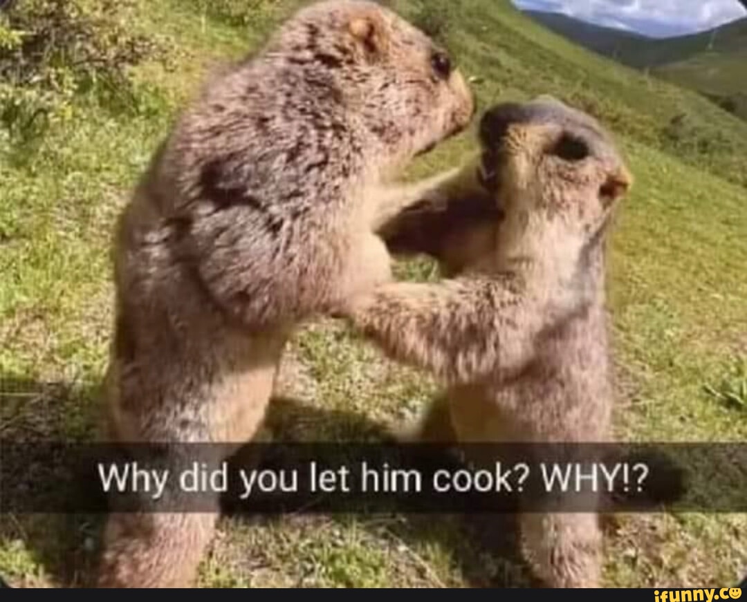 Af Why Did You Let Him Cook Why Ifunny Brazil