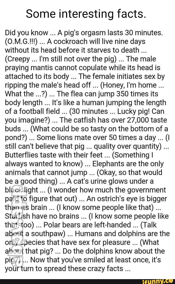 Some interesting facts. Did you know A pig s orgasm lasts 30