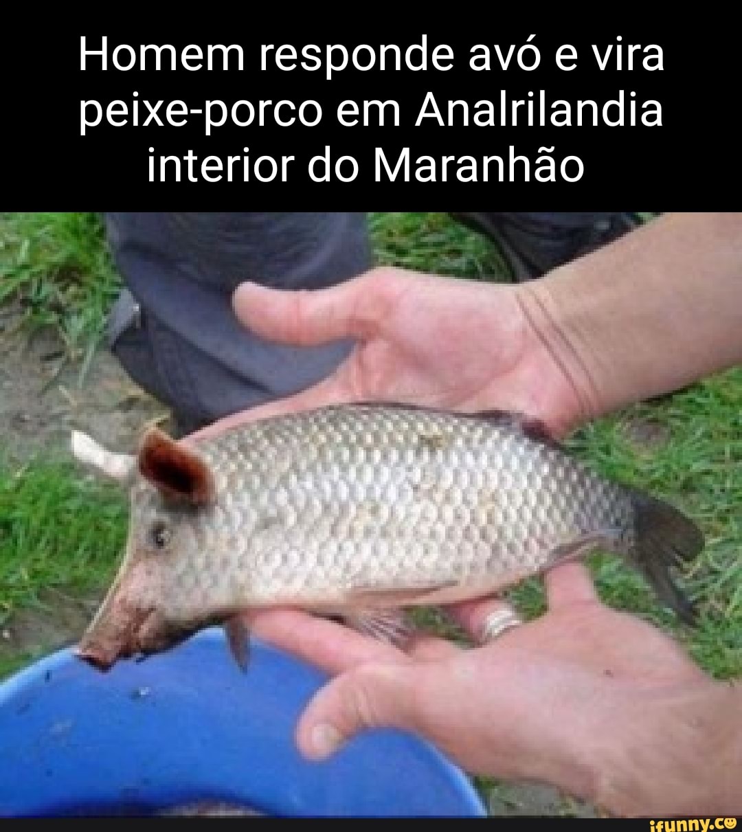 Ia fazer piada com peido mas o monarca ia *vore*