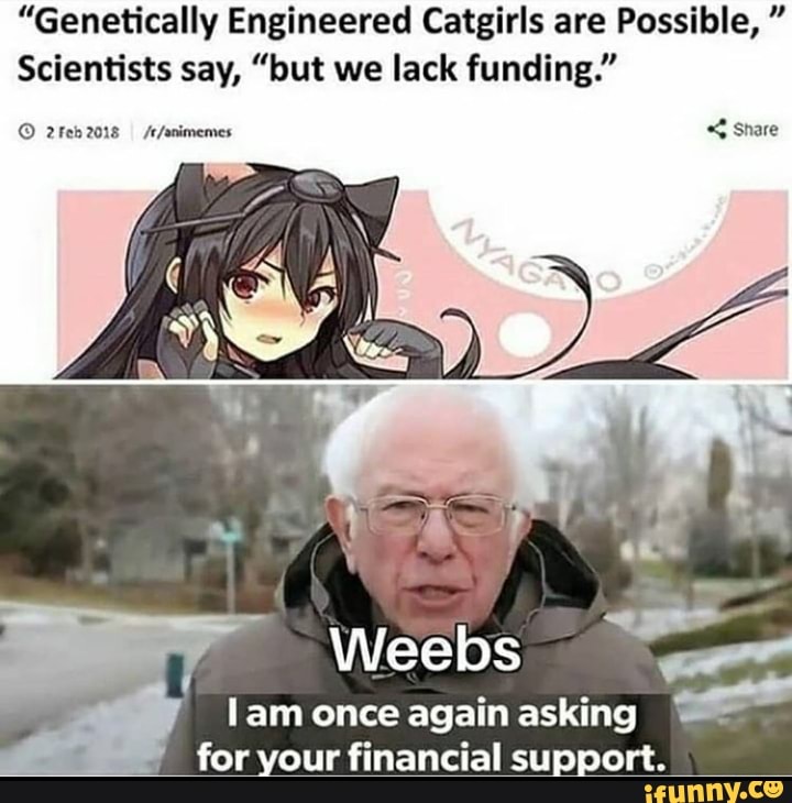 Cat girls are the greatest - iFunny