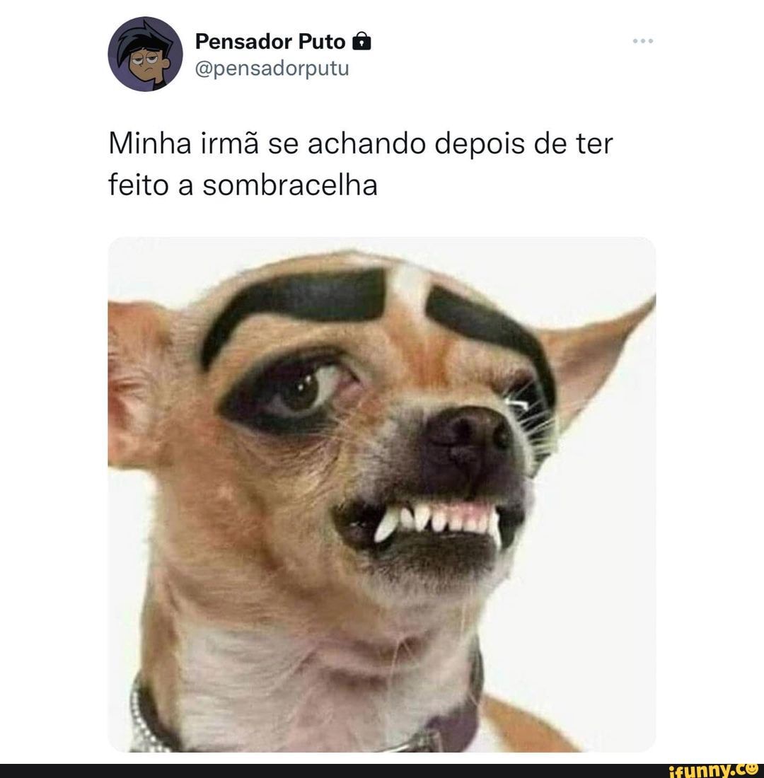 Sombrancelha memes. Best Collection of funny Sombrancelha pictures