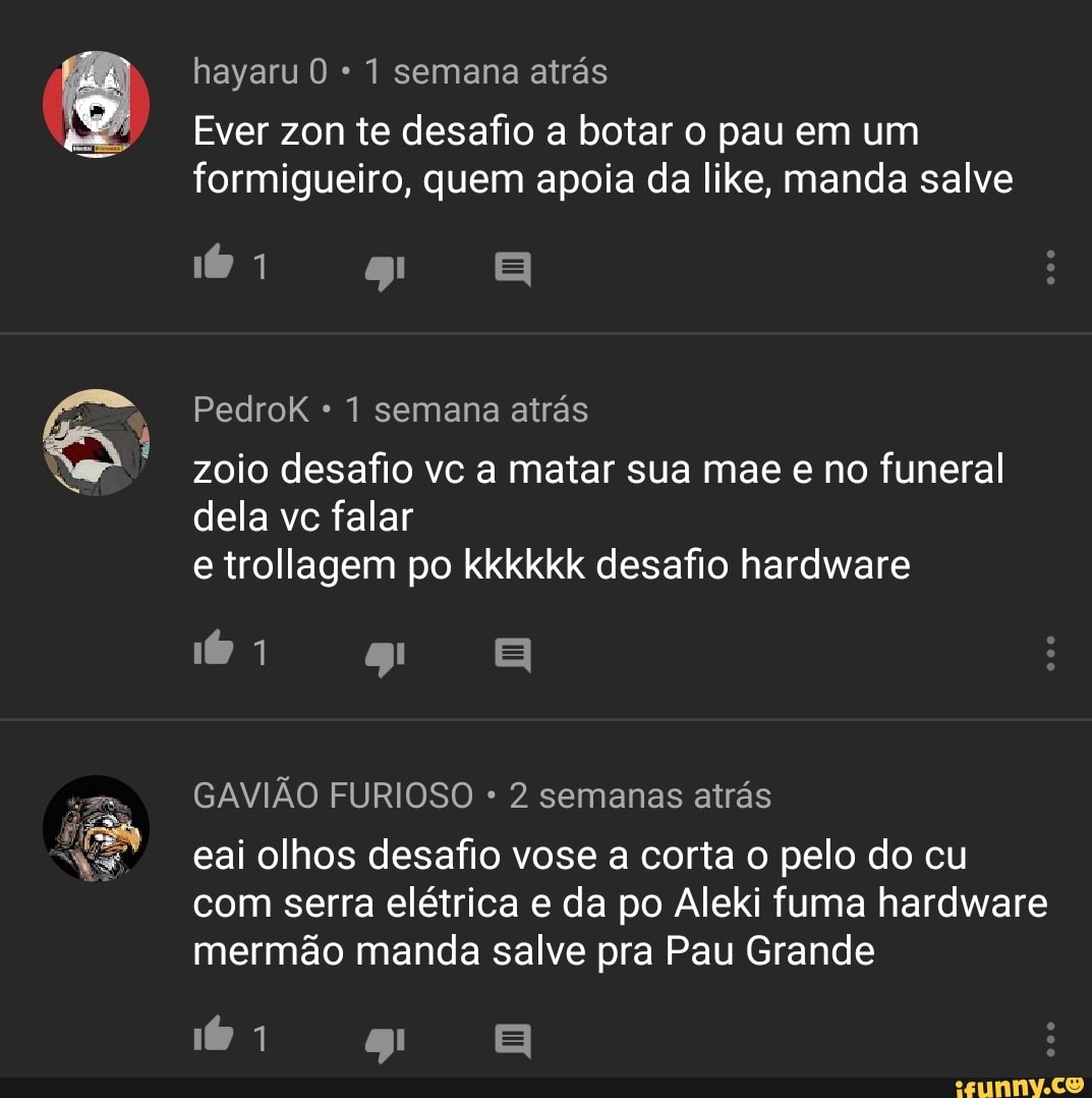 Jogada Excelente on X: E se eu falar que gostei do Raikou girafa