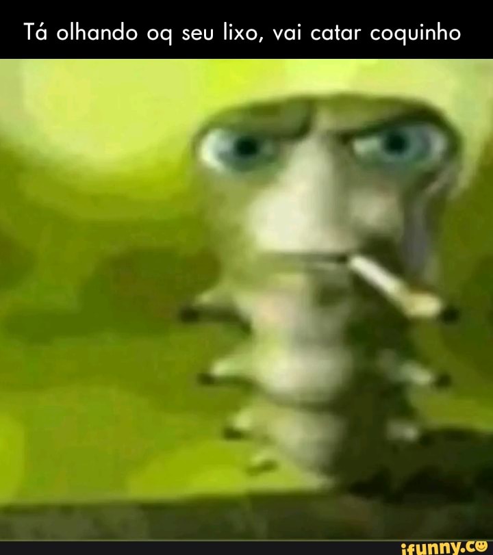 Vai Catar coquinho  Memes engraçados, Memes, Rostos de meme