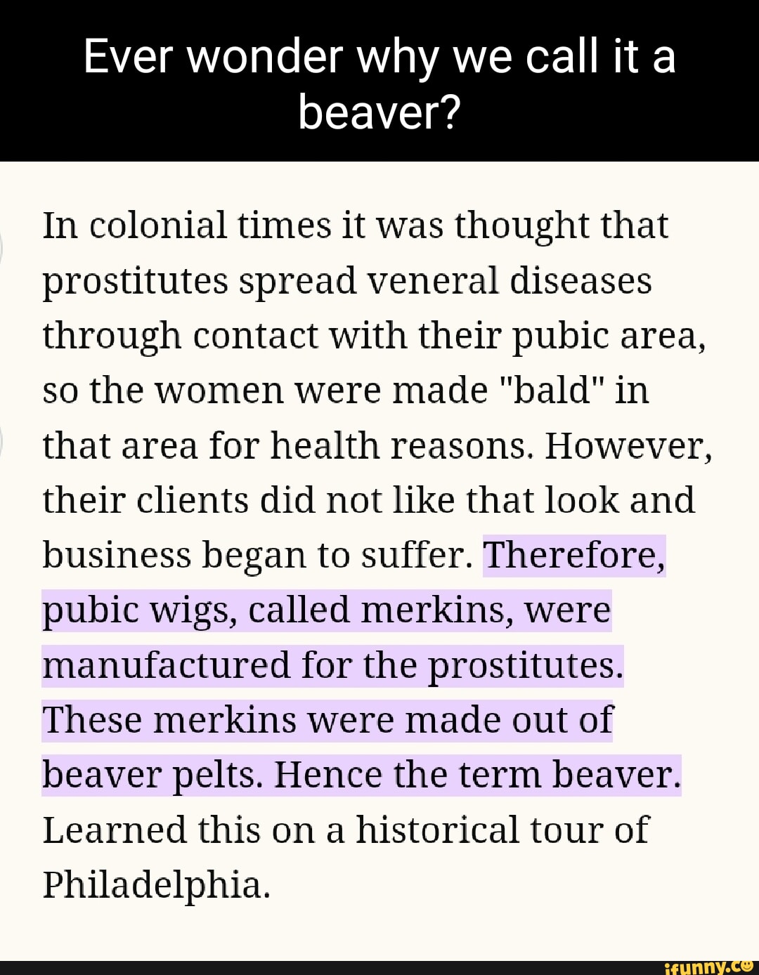 Ever wonder why we call it a beaver? In colonial times it was thought that  prostitutes