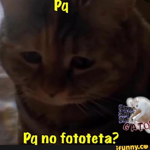 Ad Cin Pa No Fototeta Ifunny Brazil 