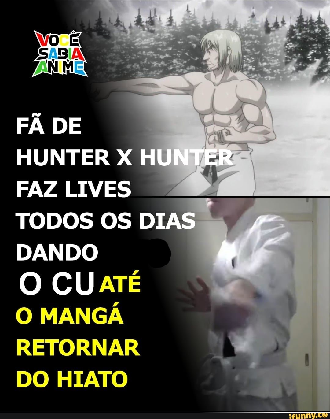 Hunter x Hunter está de volta após anos de Hiato - iFunny Brazil