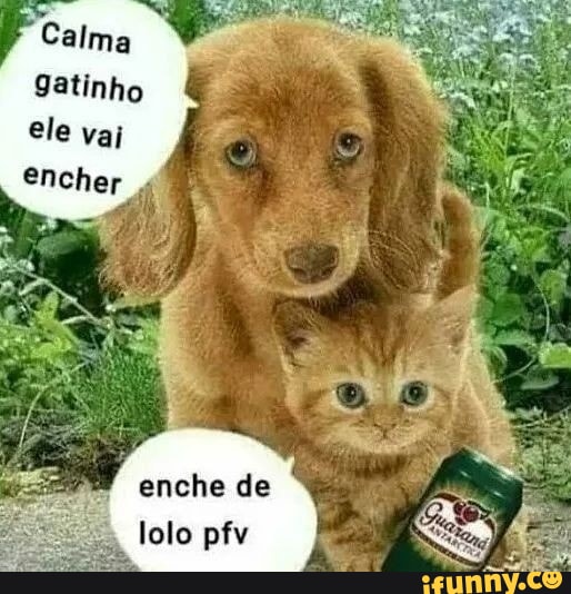 Loló memes. Best Collection of funny Loló pictures on iFunny Brazil