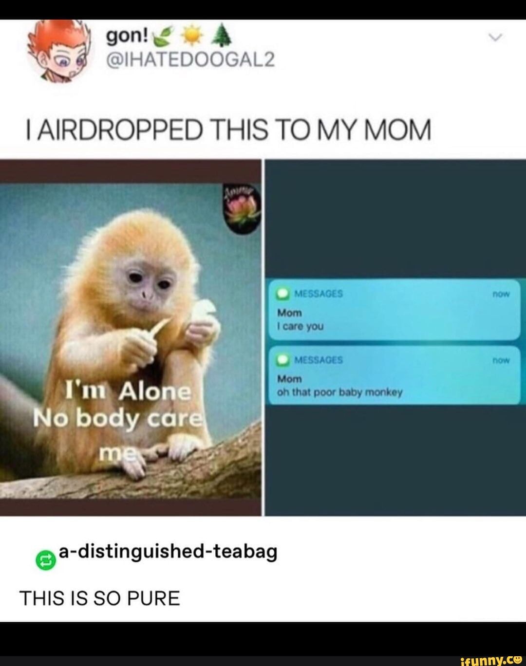 Poor Monkey : r/memes