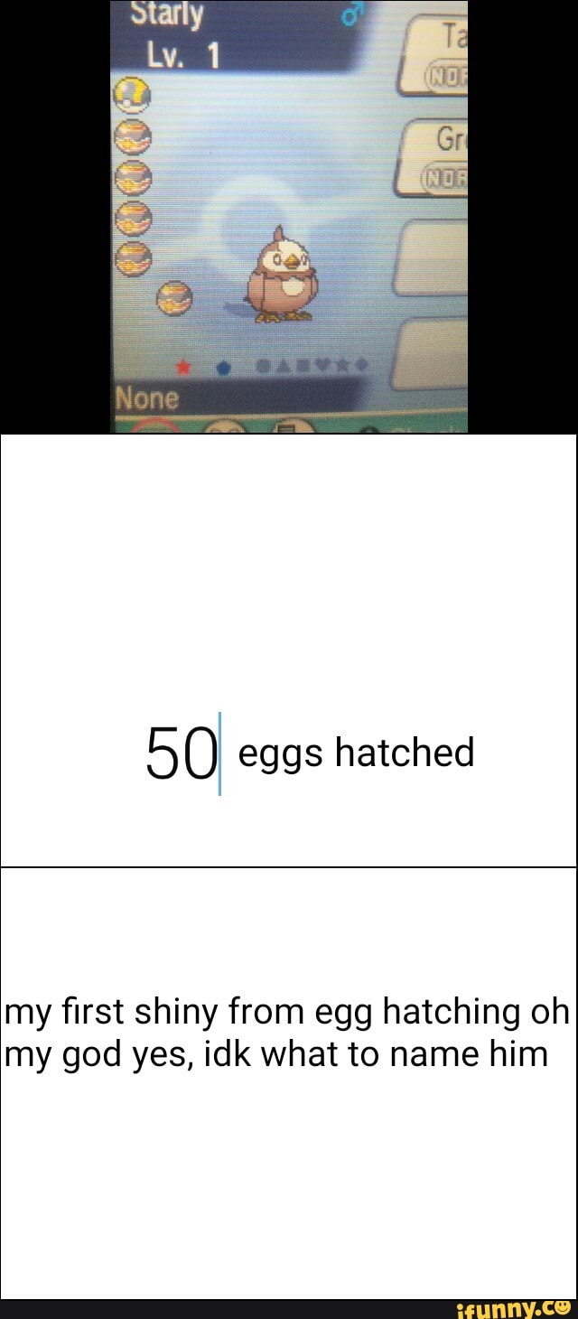 50) eggs hatched my first shiny from egg hatching oh my god yes