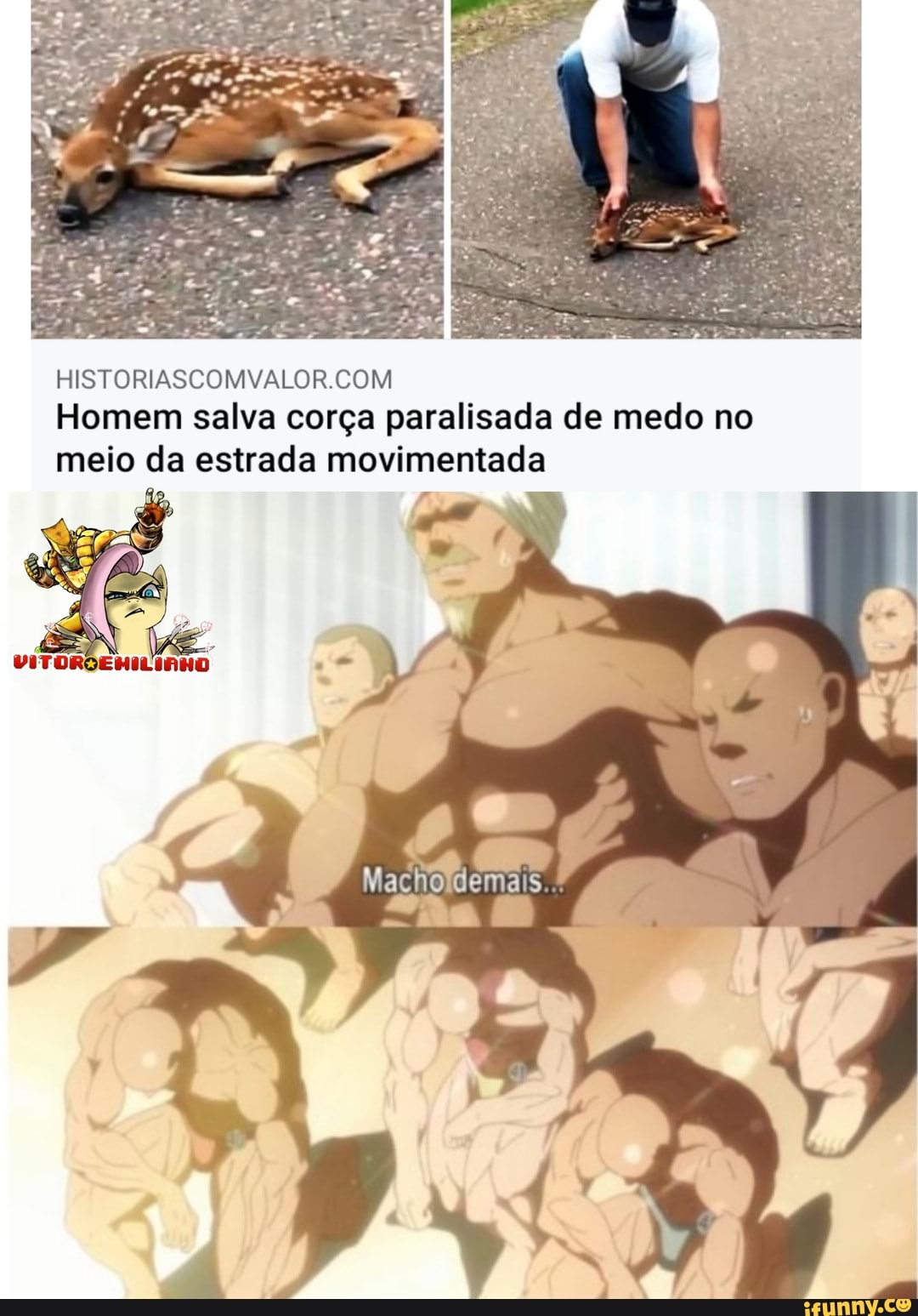 Memes de vídeo Gl2HusxcA por Duzinho: 4 comentários - iFunny Brazil