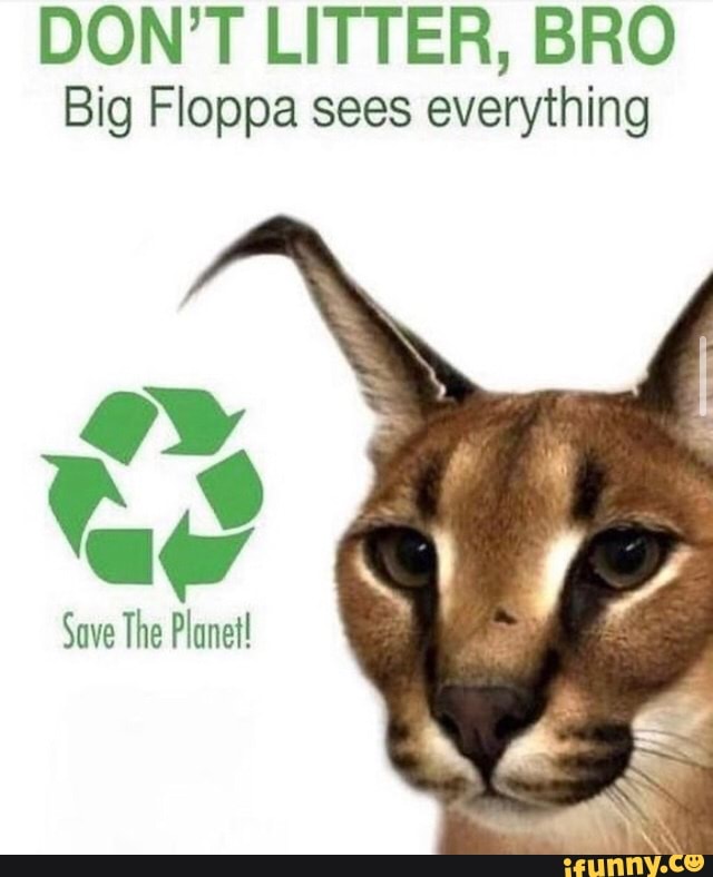 Everyone say hey Big Floppa Not how Big Floppa - iFunny Brazil