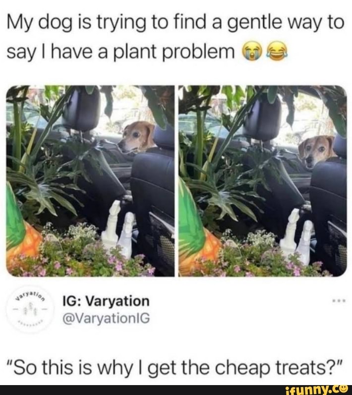 Planting memes. Best Collection of funny Planting pictures on