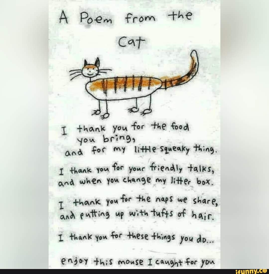 Poem from the Cat thank you for the food you bring and For MY