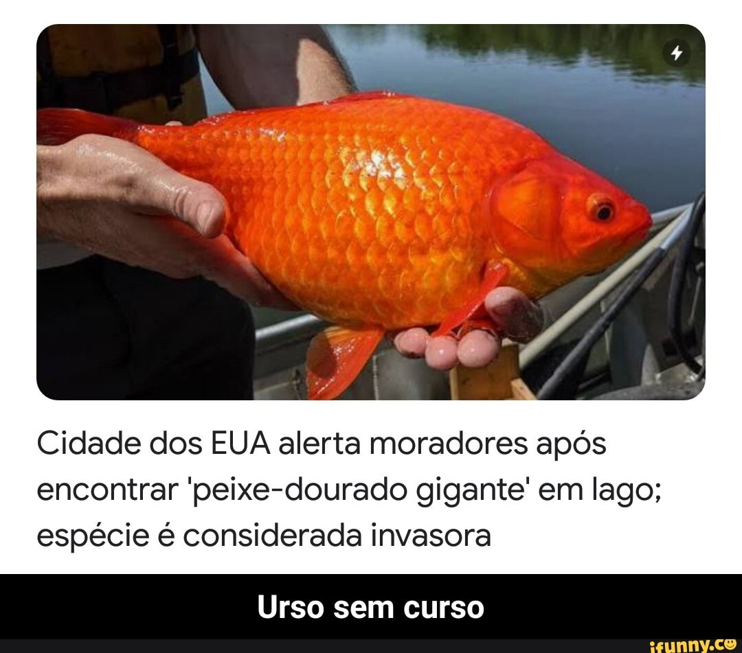 Peixe dourado emperra publicação de lista de animais em extinção