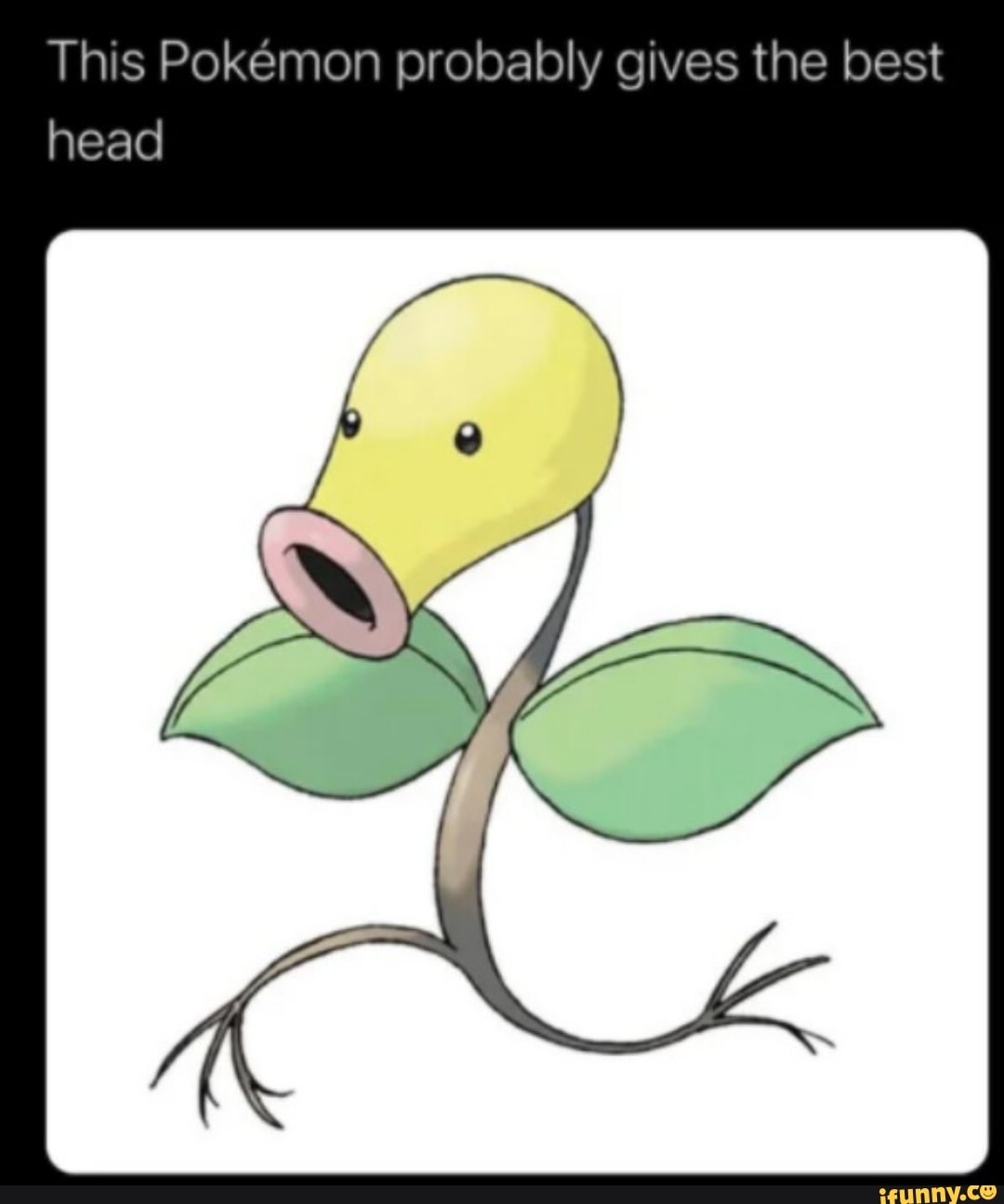 This Pokemon probably gives the best head - iFunny Brazil