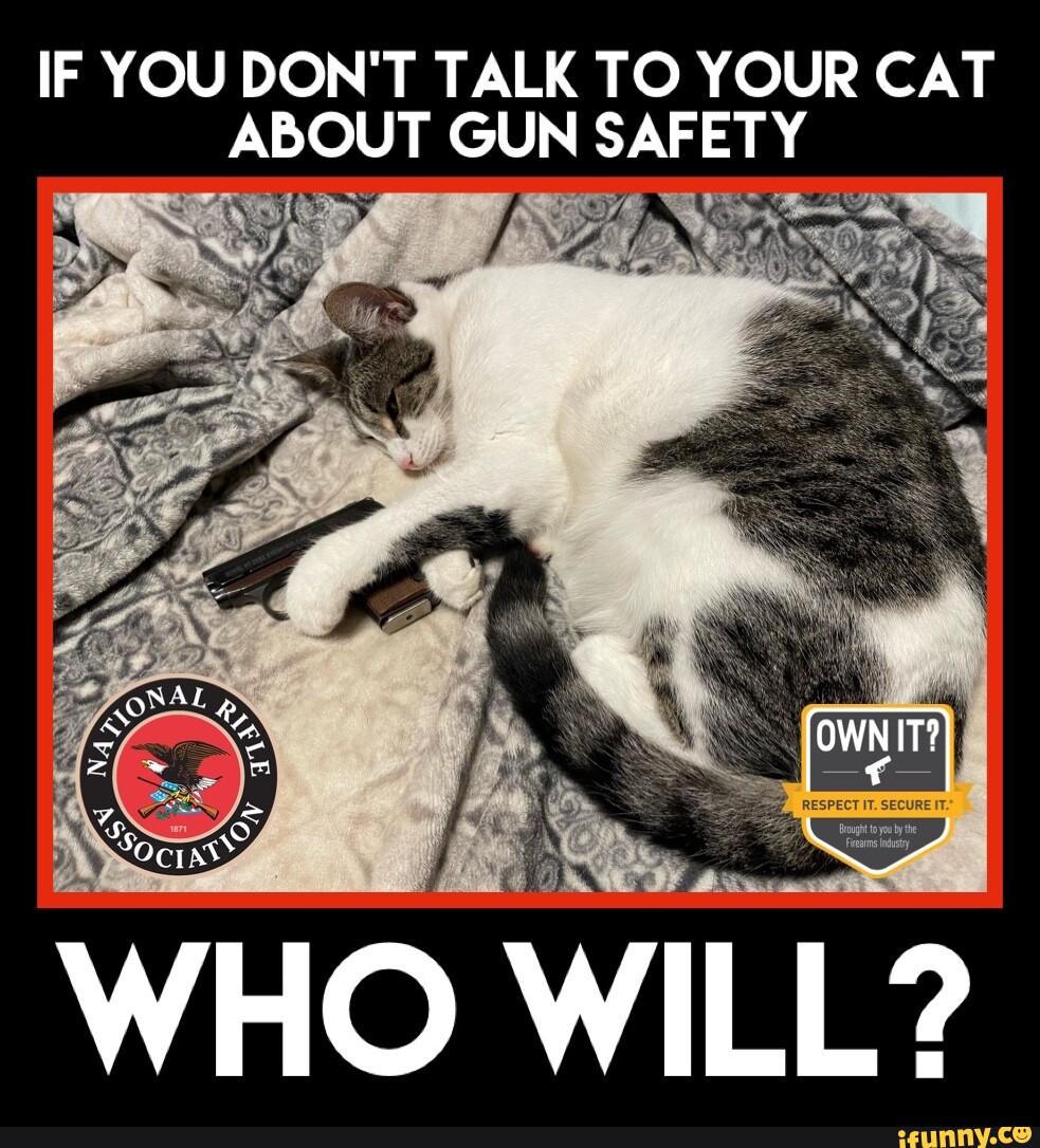 IF YOU DON'T TALK TO YOUR CAT ABOUT GUN SAFETY IT? WHO WILL? - iFunny Brazil