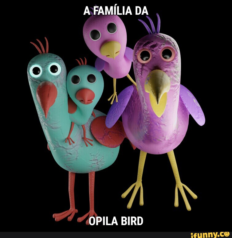 FAMÍLIA DA OPILA BIRD - iFunny Brazil