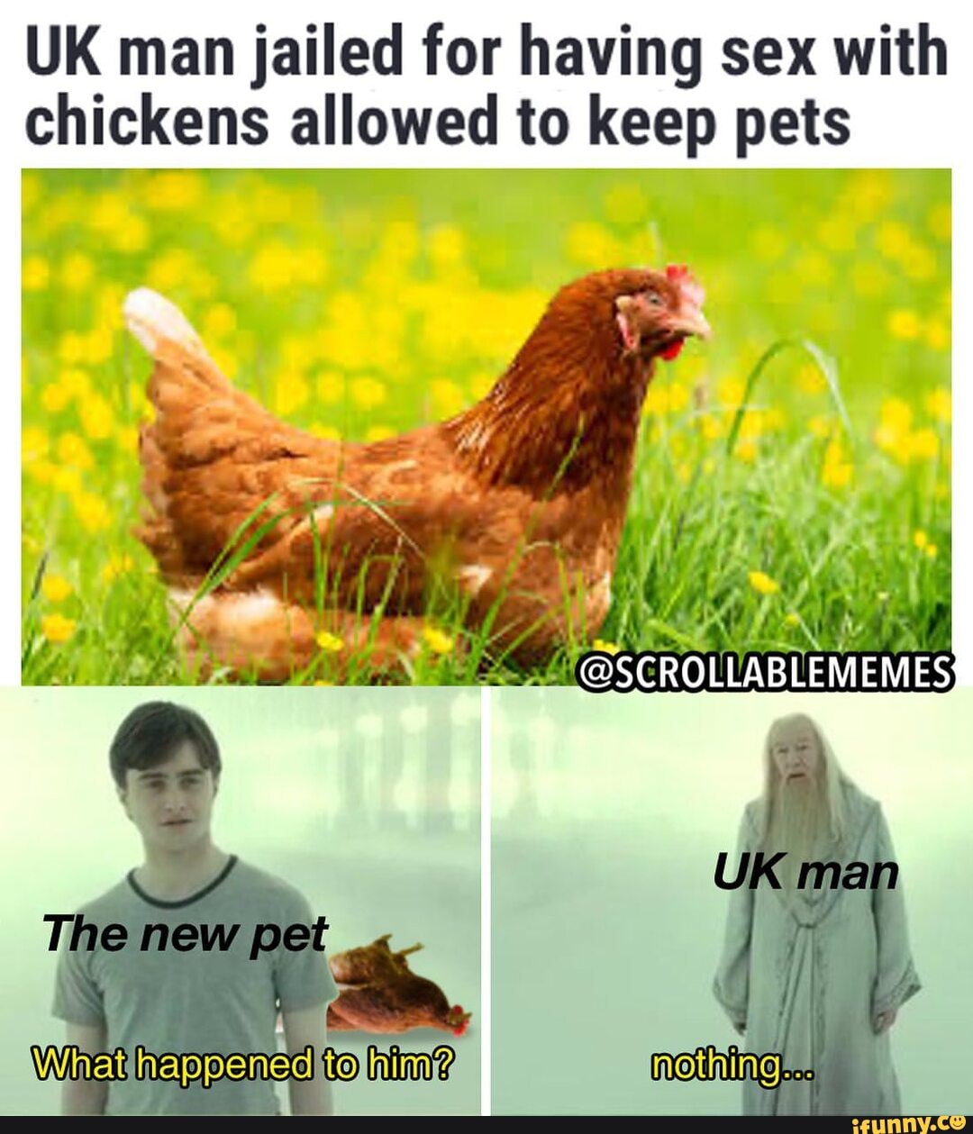 UK man jailed for having sex with chickens allowed to keep pats  @SCROLLABLEMEMES UK man MEW  What happened to him? moting... - iFunny  Brazil