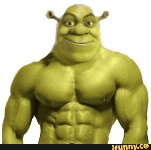 SEXTOU MEUS BACANO #shrek #MEME #rio #rj #sp #shitposting #sexta