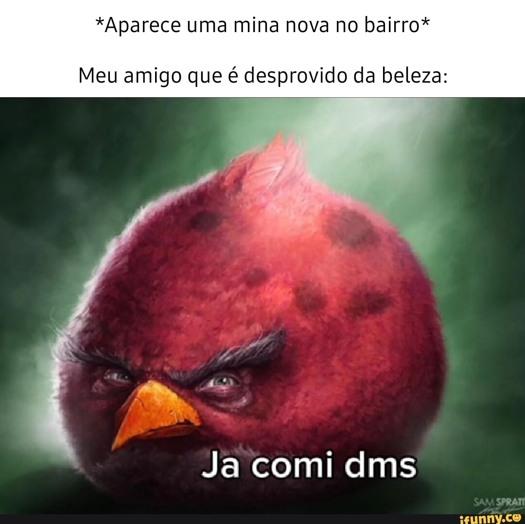 Aparece uma mina nova no bairro* Meu amigo que é desprovido da beleza: Ja  comi dms - iFunny Brazil