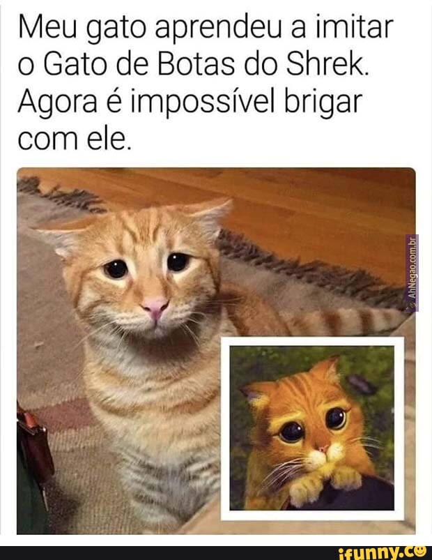 The best Gato De Botas memes :) Memedroid