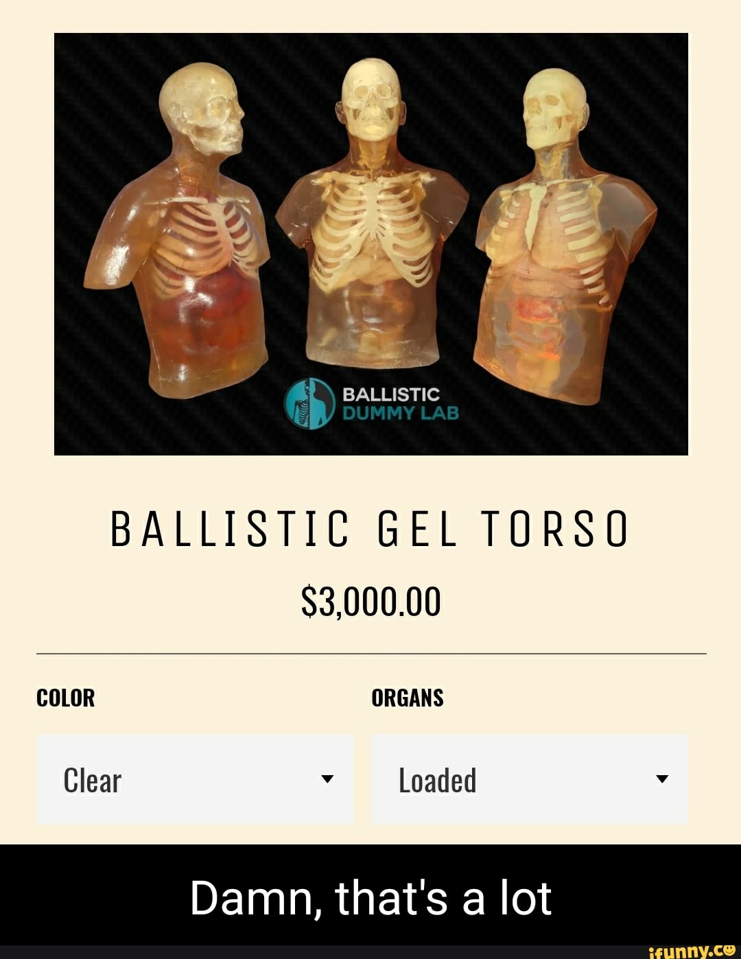 SS BALLISTIC DUMMY LAB BALLISTIC GEL TORSO $3,000.00 COLOR ORGANS