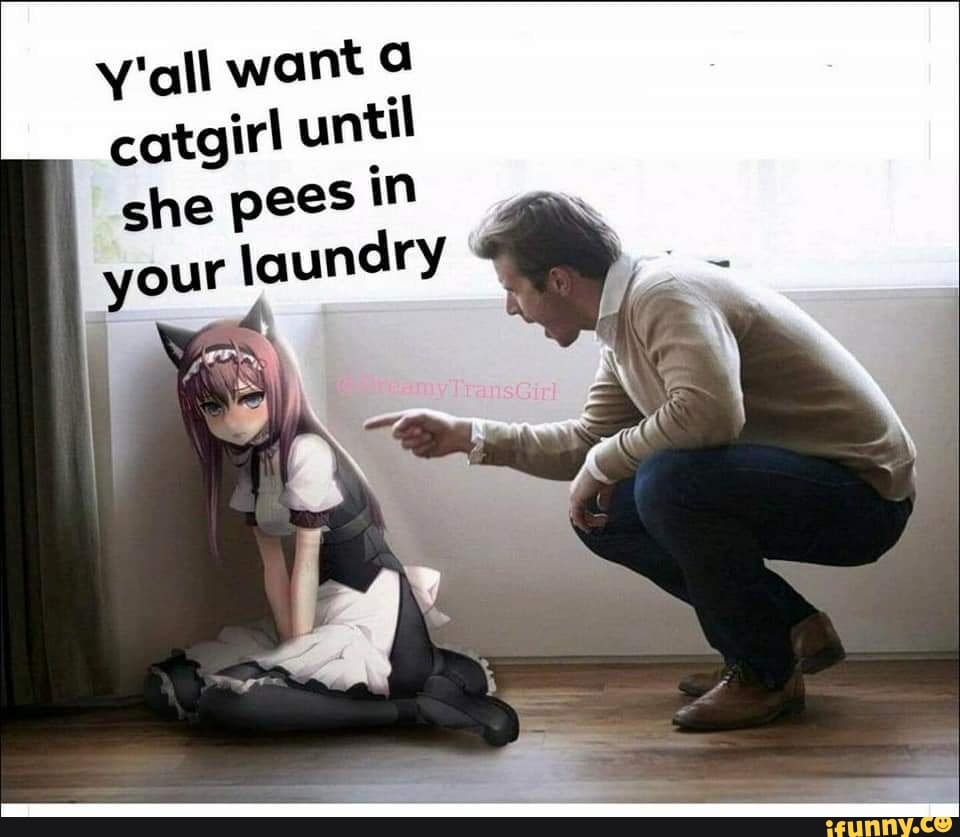 Catgirls memes. Best Collection of funny Catgirls pictures on iFunny Brazil
